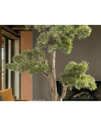 CHOKKAN - BONSAI 83CM